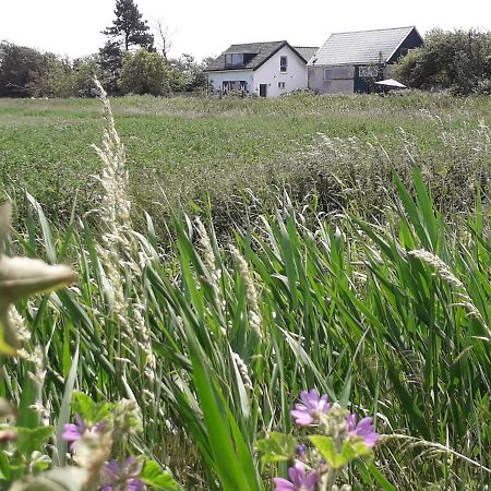 Apartament In De Boomgaard Burgh-Haamstede Zewnętrze zdjęcie
