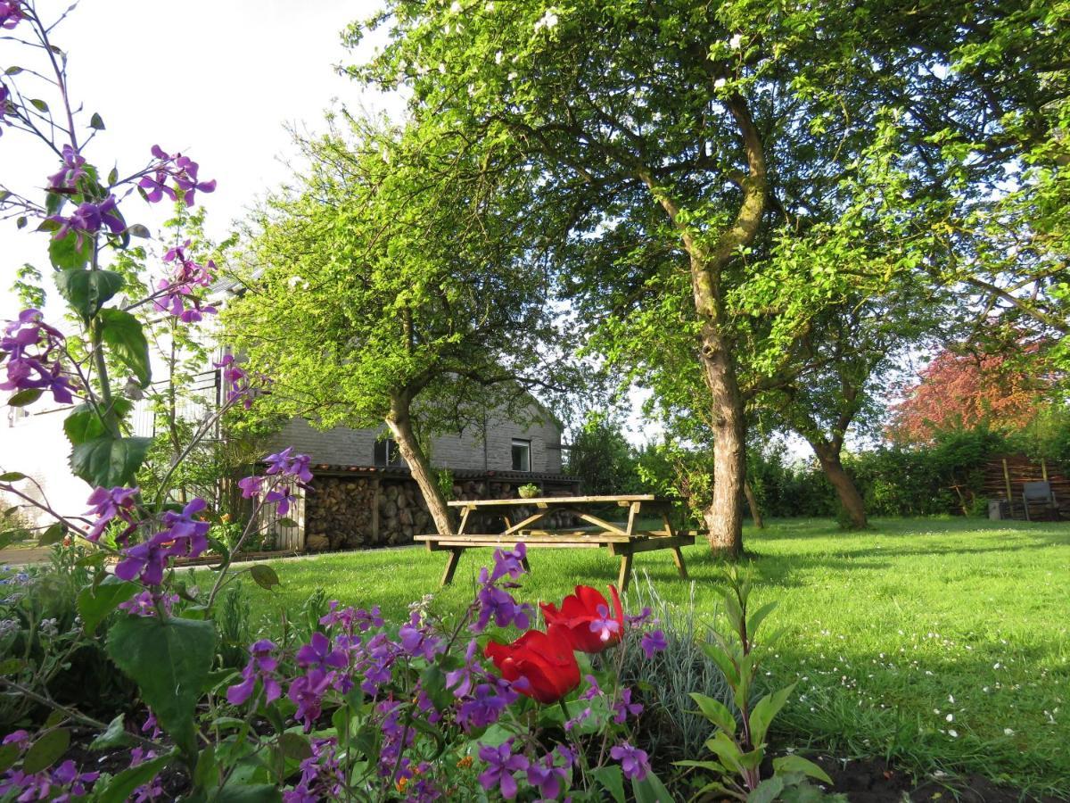Apartament In De Boomgaard Burgh-Haamstede Zewnętrze zdjęcie